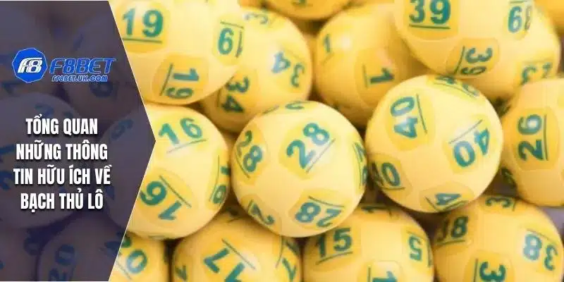 Tổng quan những thông tin hữu ích về bạch thủ lô