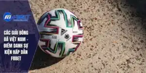 Các Giải Bóng Đá Việt Nam