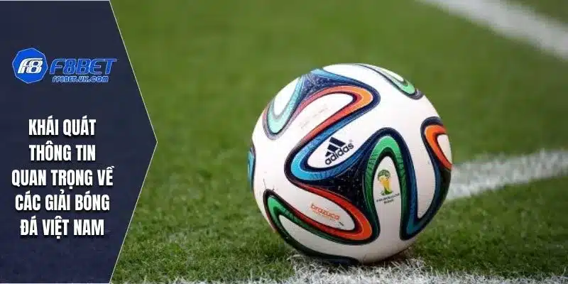 Khái quát thông tin quan trọng về các giải bóng đá Việt Nam
