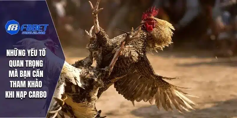 Những yếu tố quan trọng mà bạn cần tham khảo khi nạp Carbo