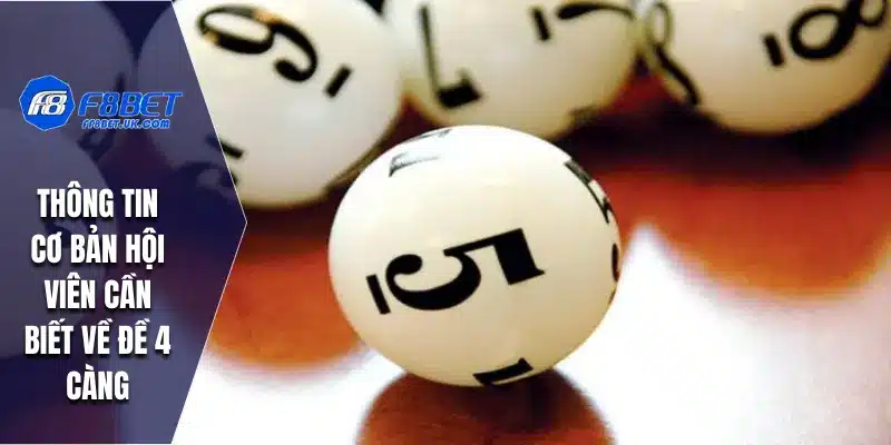 Thông tin cơ bản hội viên cần biết về đề 4 càng