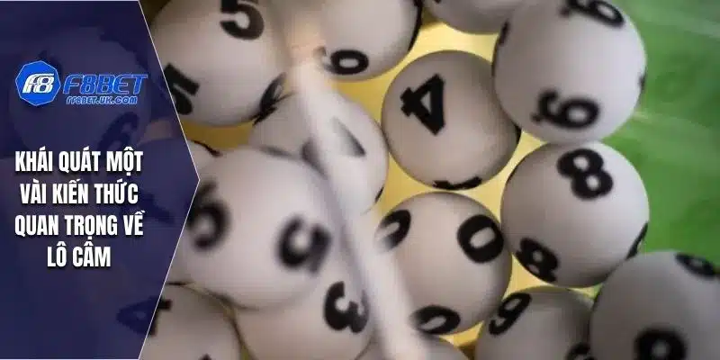 Khái quát một vài kiến thức quan trọng về lô câm